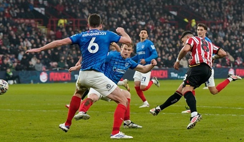 Hamer Scores